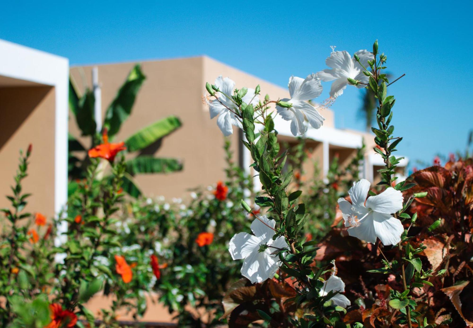 Oasis Blu Beach Resort-Adults Only Nungwi Bagian luar foto